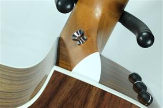 TAYLOR GUITARS 214CE DLX